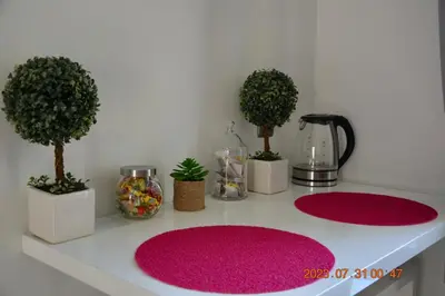 a white counter with three potted plants and red mats at Apartment near Old Town in Kraków