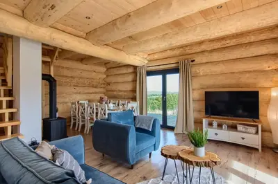 a living room with wooden walls and a tv and a couch at Domek w górach z balią jacuzzi Asina Chata Zawoja in Zawoja