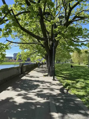 a sidewalk next to a park with trees and grass at Z widokiem na Wisłę in Kraków