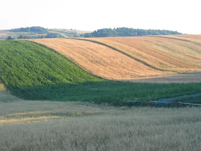 a field of crops with the shadow of a hill at Holiday Home Moja Mała Toskania by Interhome in Cisowa