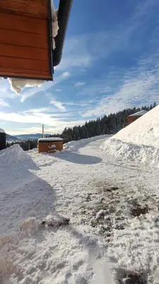 a snow covered yard with a house in the background at Relaksówka in Roztoka