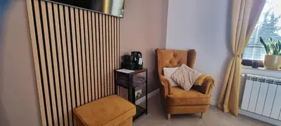a living room with a chair and a radiator at Emerald Spa Guest house in Kraków