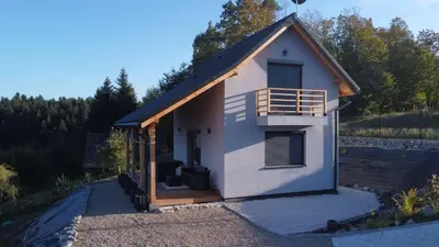 a small house with a pitched roof at Domek Leo's House in Jaszczurowa