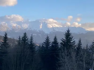 a group of trees with snow capped mountains in the background at Zawoja Nad Koroną z jacuzzi in Zawoja