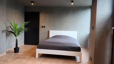 a bed in a room with a potted plant at Stodoła Chillout Apartments in Marszowice