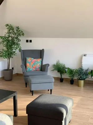 a living room with a chair and potted plants at Stodoła Chillout Apartments in Marszowice