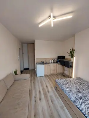 a large living room with a bed and a kitchen at Studio near Old Town in Kraków