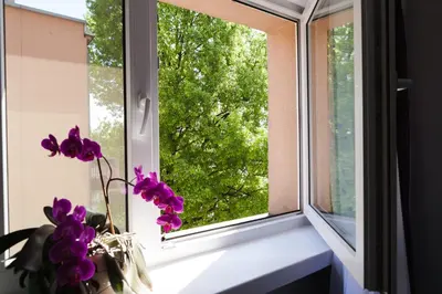 a vase with purple flowers sitting on a window sill at Kraków Cosy 3 room 2 bathroom Old Town in Kraków