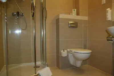 a bathroom with a toilet and a shower at Centuria Hotel & Natural Spa in Ogrodzieniec