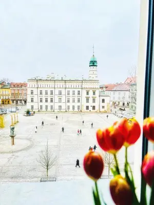 a view of a building from a window with flowers at Amazing apartament in the heart of Kazimierz in Kraków