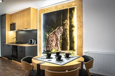 a kitchen with a table with a cat on the wall at Cyrhel Apartments in Zawoja