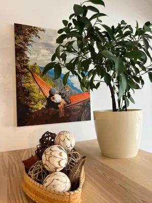 a plant sitting on a table next to a painting at FeelHome Apartment with kitchen in Kraków