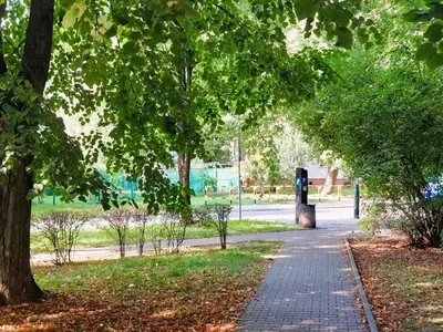 a path in a park with trees and a sidewalk at MR HOME APARTMENTS - Nullo in Kraków