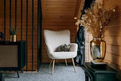 a cat sleeping in a chair in a room at ArtHouse Podhale in Klikuszowa