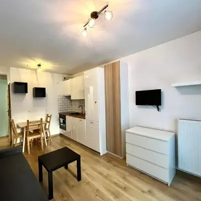 Downtown Apartment 2