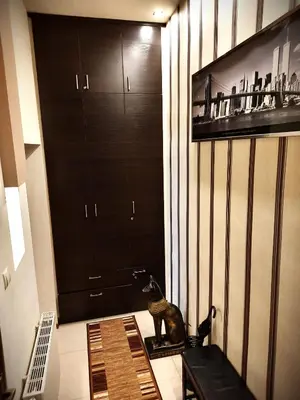 a hallway with black cabinets and a table with a cat statue at Luxury Senate Apartment in Kraków