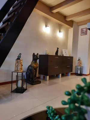 a room with statues of cats and a dresser at Luxury Senate Apartment in Kraków