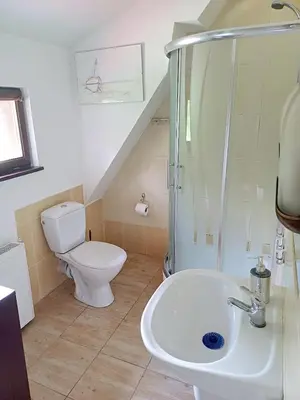 a bathroom with a toilet and a sink at Willa na Bani - apartamenty i pokoje in Rabka