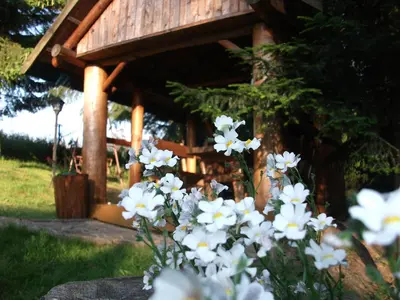 a bunch of white flowers in front of a gazebo at Willa na Bani - apartamenty i pokoje in Rabka