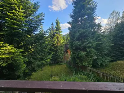 a house in the middle of a yard with trees at willa Partykówka in Poręba Wielka