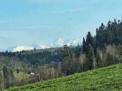 a green hill with a view of a mountain at Folwark Bielanka in Bielanka