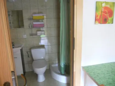 a bathroom with a toilet and a green shower curtain at Dwór w Boleniu in Bolen