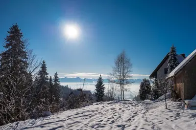 a snow covered road with the sun in the sky at Jankówki - Dom w górach in Nowy Targ