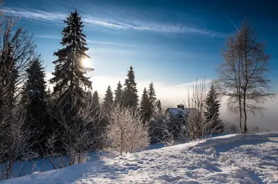 a snow covered hill with trees and the sun in the sky at Jankówki - Dom w górach in Nowy Targ