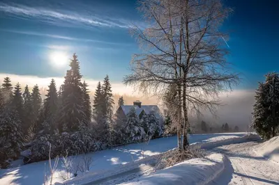 a tree in the snow with the sun in the background at Jankówki - Dom w górach in Nowy Targ