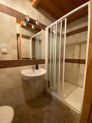 a bathroom with a sink and a shower and a toilet at Dom na końcu świata in Ochotnica Górna