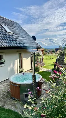 a living room with a green couch and a swing at Domek Babiogórski z JACUZZI in Zubrzyca Górna