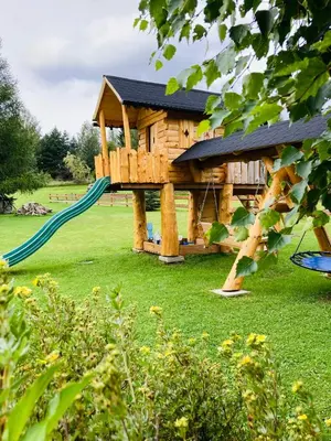 a backyard with a stone oven in the grass at Domek Babiogórski z JACUZZI in Zubrzyca Górna