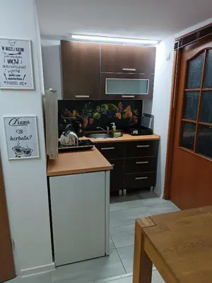 a kitchen with a sink and a counter top at Agroturystyka Rudy Kocur Różana 24 Jaroszowice in Jaroszowice