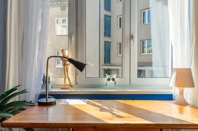 a cat sitting in the window of a building at Botaniczny Pokój in Kraków
