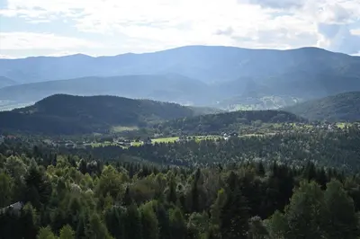 a view of a valley with trees and mountains at Chatka Beatki in Stryszawa
