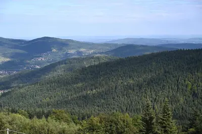a view of a mountain with trees and a city at Chatka Beatki in Stryszawa