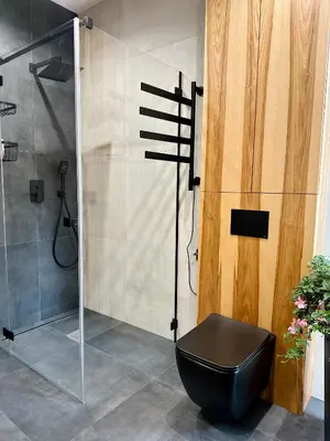 a bathroom with a black toilet and a shower at BM Apartments - parter domu z tarasem in Kraków
