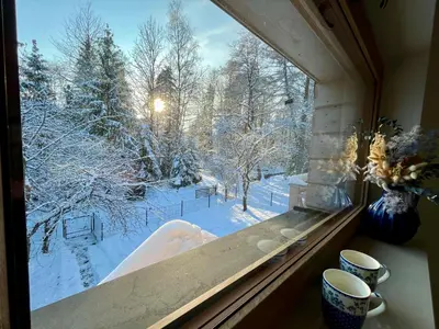 a window with a view of a snow covered forest at Villa Corvo Bianco in Sidzina