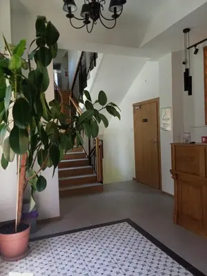 a hallway with a potted plant and a staircase at MODRZEW - noclegi w Pyzówce in PyzÃ³wka