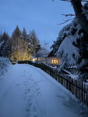a snow covered path next to a house with lights at Przystanek Zawadka in Zawadka