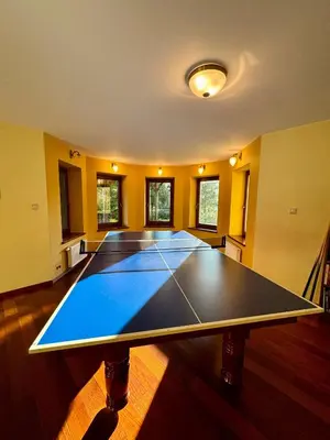 a ping pong table in the middle of a room at Uroczysko pod Mogielicą in Szczawa