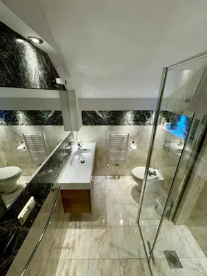 a bathroom with a shower and a sink and a toilet at Uroczysko pod Mogielicą in Szczawa
