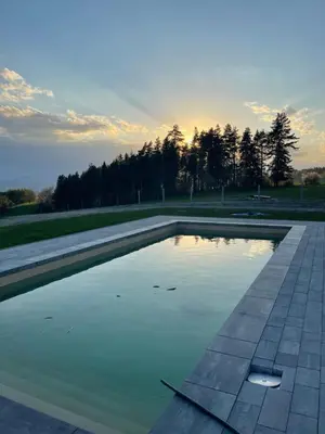 a pool of water in a park with trees in the background at Bocianie Gniazdo w Rabce in Rabka-Zdroj