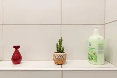 a shelf with a bottle of soap and a cactus at May B studio in Kraków