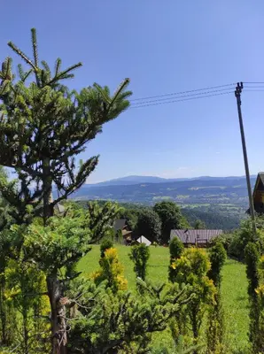 a view from the top of a hill with trees at Pieśń Poranka Domek in Łysina