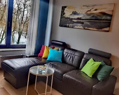 a living room with a leather couch with colorful pillows at apart Wilga in Kraków