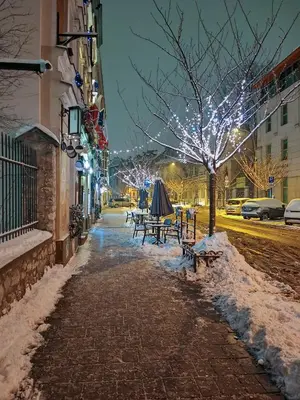 a street with benches and a tree with christmas lights at Estery Studio Heart of Kazimierz in Kraków