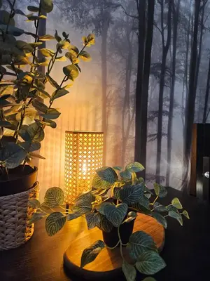 a plant in a vase on a table with a light at Cracovia Luxury Bright Apartment Great Location Sauna in Kraków