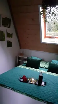 a bedroom with a green bed with a tray on it at Zaciszny Zakątek Zawoja in Zawoja
