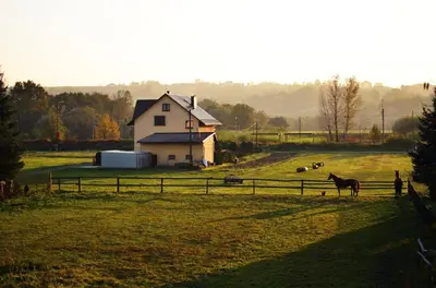 a horse standing in a field next to a house at Gospodarstwo Agroturystyczne Stajnia Grudki Energylandia Zator in Zator
